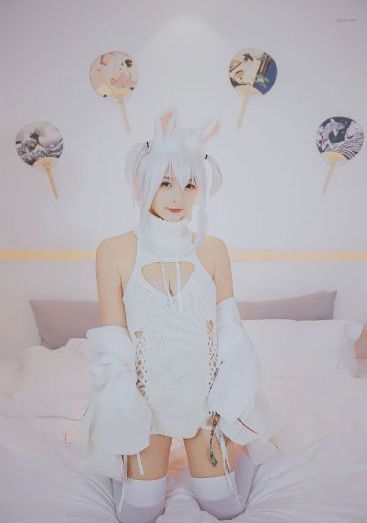 中甲