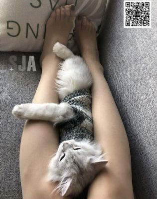 功勋