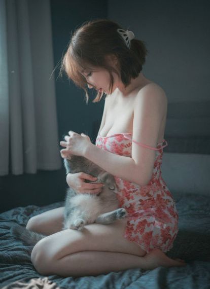 猫武士