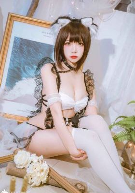 精英律师电视剧全集免费观看