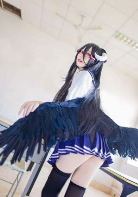 枫与柃